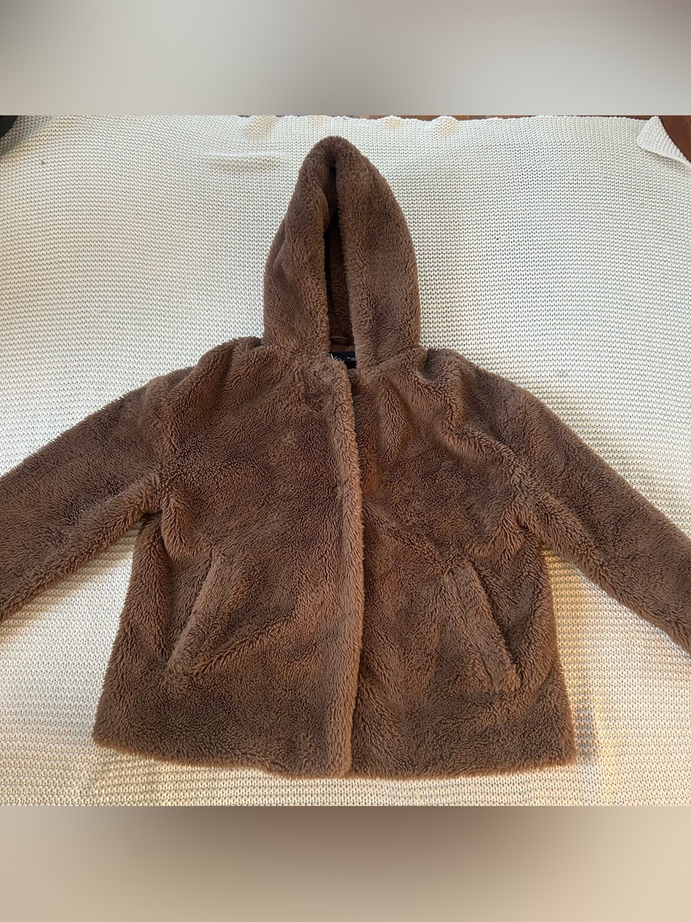 Zara Small Plush Sherpa Hooded Buttom Up Jacket